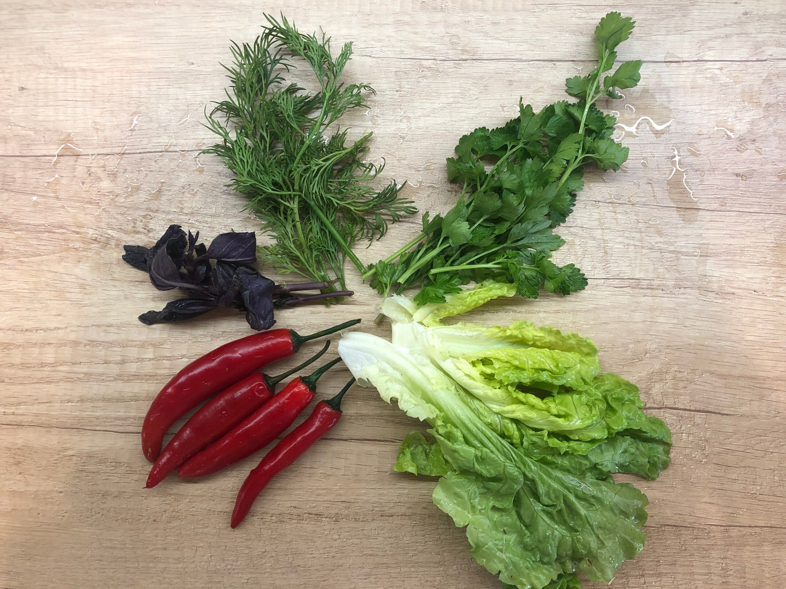 Iron extraction scaled (1)