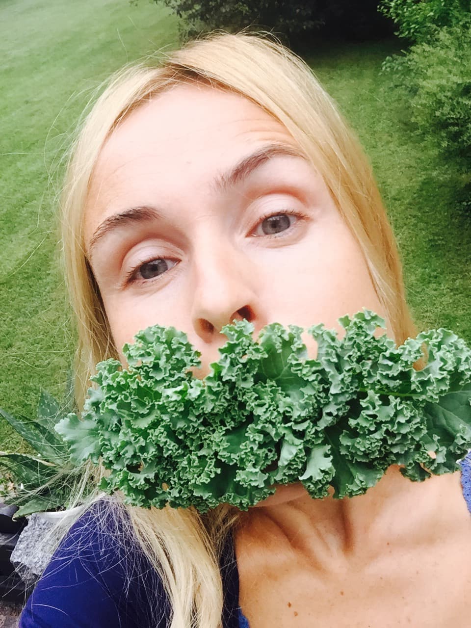 Iron extraction 201 a