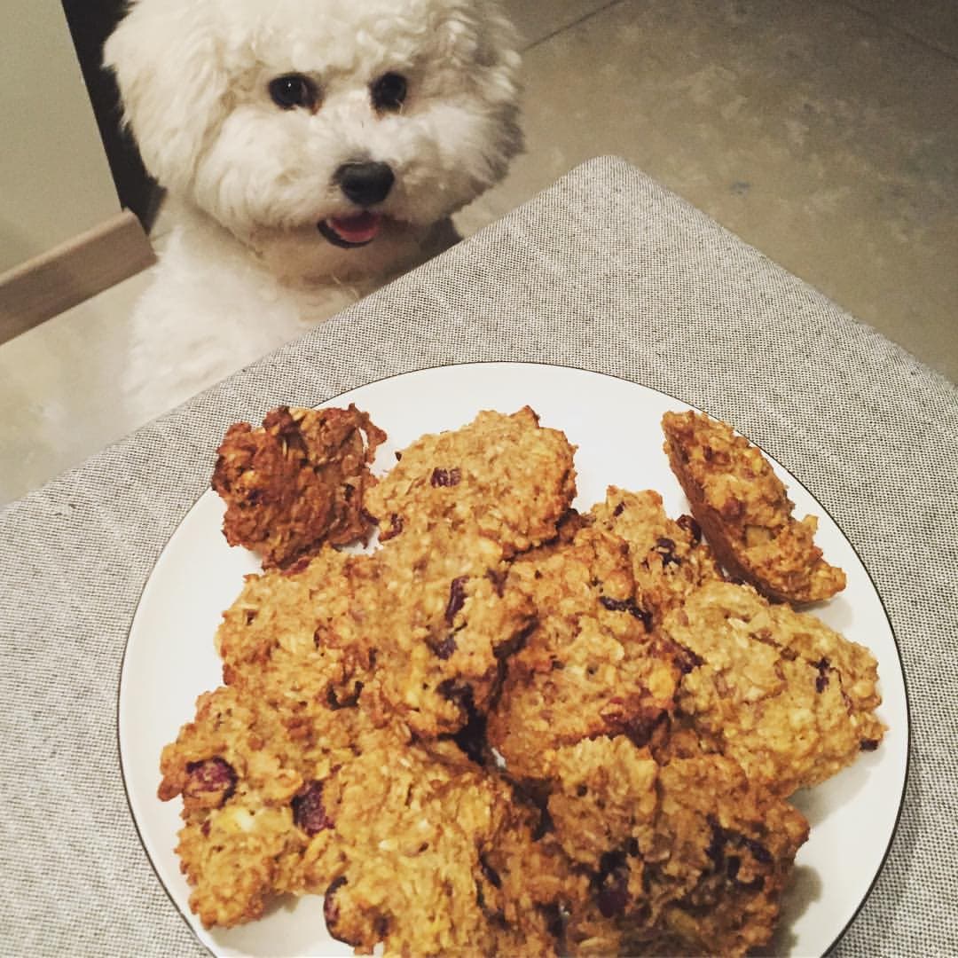 Healthy Biscuits OneOfThem