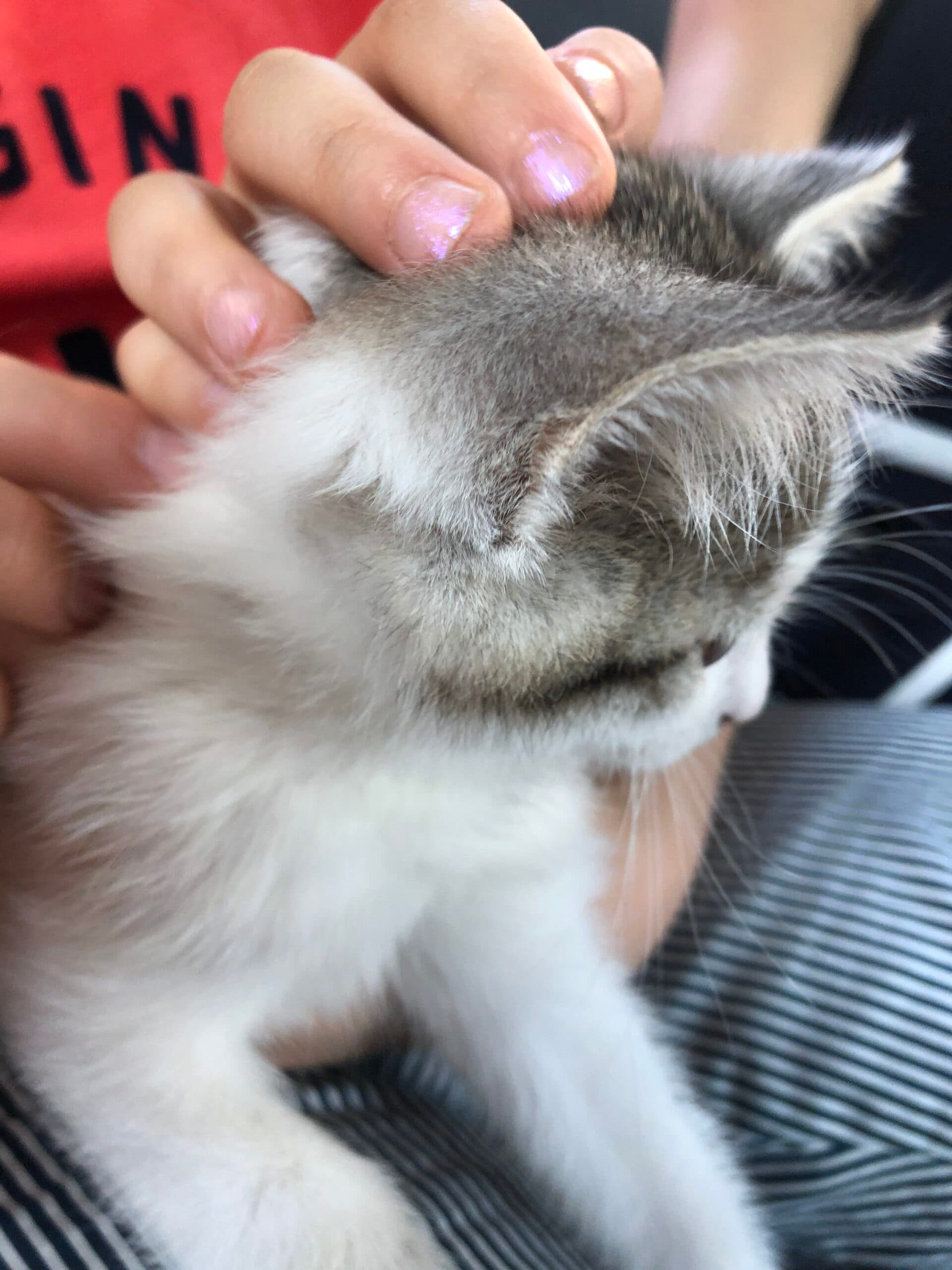 Odessa Half from Mom (2)