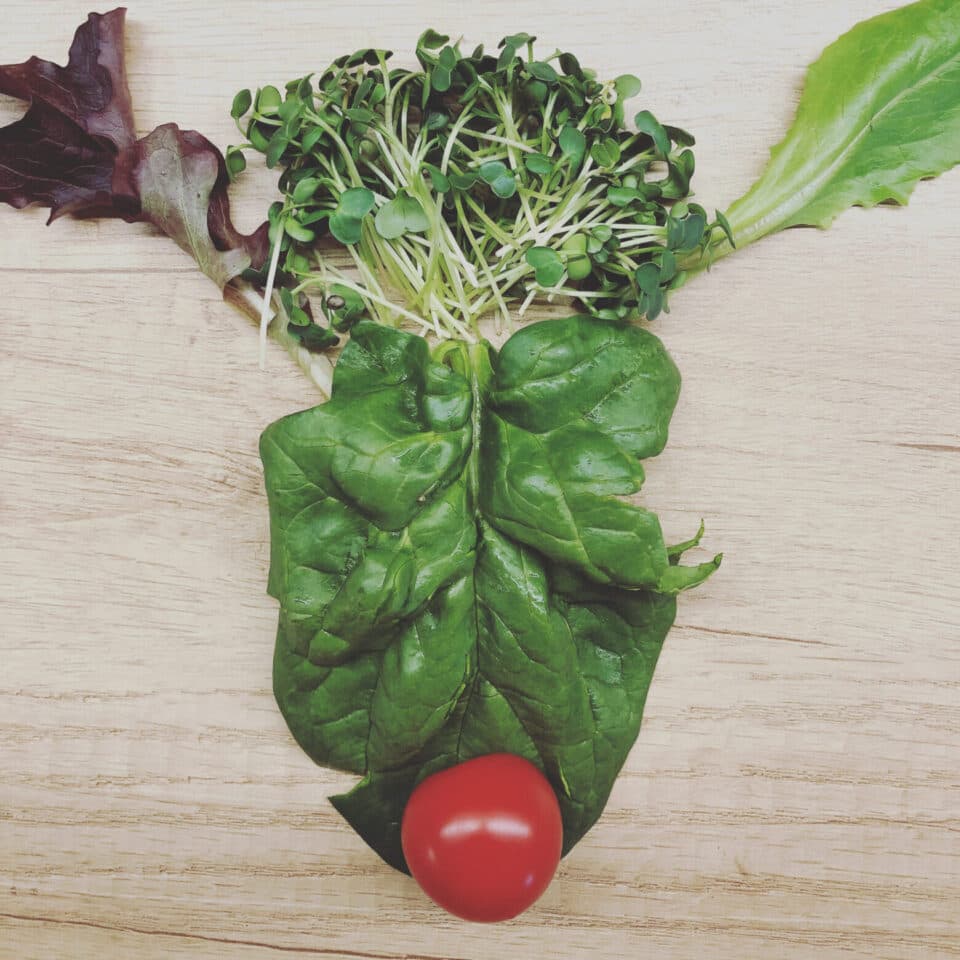 Iron extraction scaled